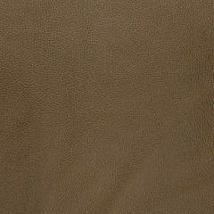 Image showing Brown leather