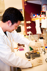 Image showing Working scientist