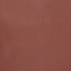 Image showing Pink leather 