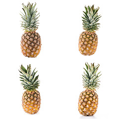 Image showing Pineapples