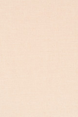 Image showing Beige vinyl texture