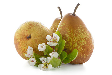 Image showing Three ripe pears