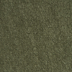 Image showing Green vinyl texture