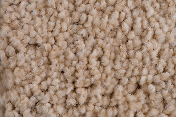 Image showing Brown carpet