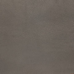 Image showing Grey leather texture closeup