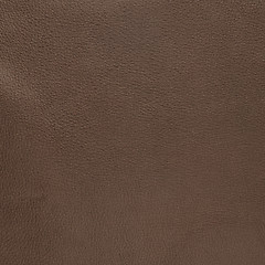 Image showing Brown leather