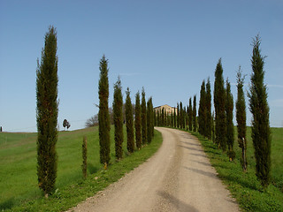 Image showing cypress alley