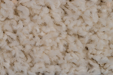 Image showing Beige carpet