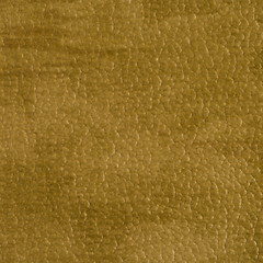 Image showing Green vinyl texture