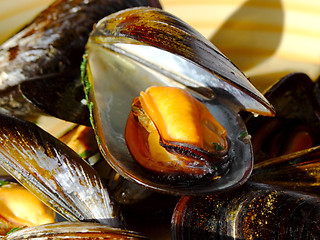 Image showing Cooked mussels