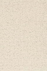 Image showing Beige vinyl texture