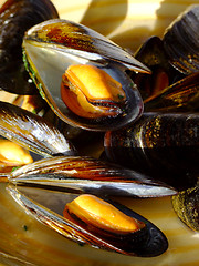 Image showing Cooked mussels