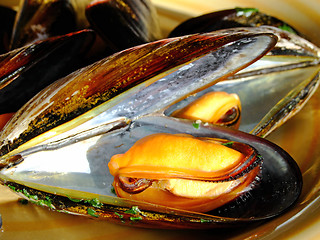 Image showing Cooked mussels