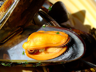 Image showing Cooked mussels