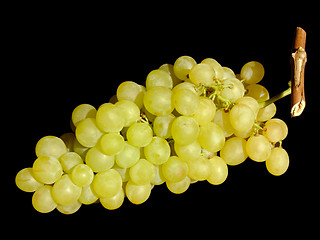 Image showing White grapes
