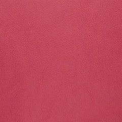 Image showing Pink leather 