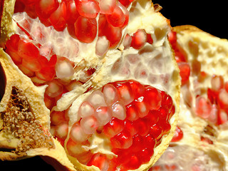 Image showing Pomegranate fruit