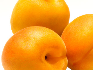 Image showing Apricots