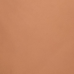 Image showing Brown leather