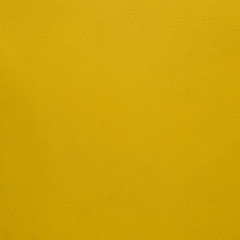 Image showing Yellow leather