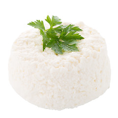 Image showing Cottage cheese 