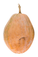 Image showing Calabash pumpkin