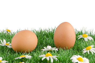 Image showing Two eggs with artificial grass