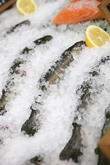 Image showing Fresh Fish on Ice
