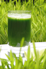 Image showing Fresh Juice from sprout of the wheat