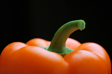 Image showing orange bell pepper