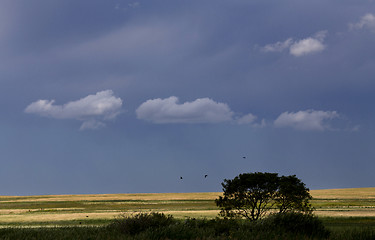 Image showing Storm Clouds Prairie Sky