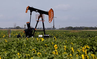 Image showing Oil and Gas Pump Jack