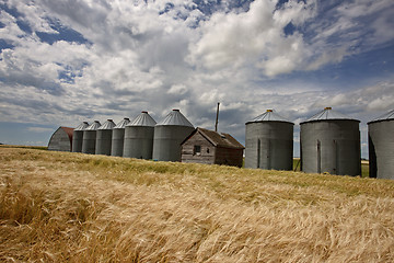 Image showing Row of Granaries