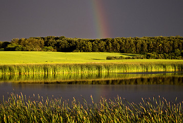 Image showing Storm Clouds Prairie Sky Rainbow
