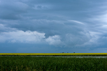 Image showing Storm Clouds Prairie Sky