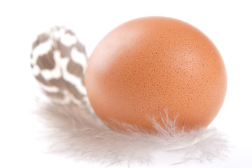 Image showing Egg and Feather