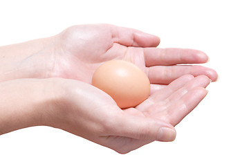 Image showing Egg in Hands