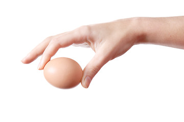 Image showing Egg in Hand