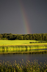 Image showing Storm Clouds Prairie Sky Rainbow