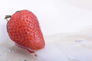 Image showing Close up strawberry, food concept