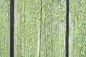 Image showing Dark green wood. Natural texture background