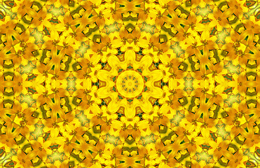 Image showing Flower abstract pattern