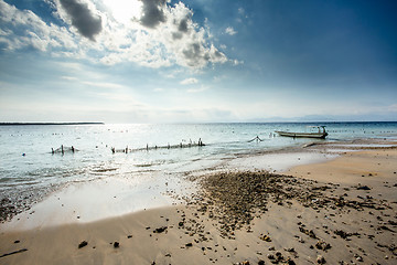 Image showing Plantations of seaweed on beach, Algae at low tide