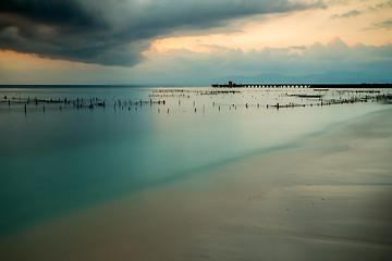 Image showing Plantations of seaweed, Algae at low tide