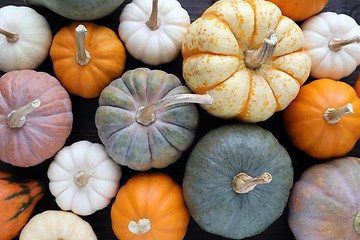 Image showing Pumpkins.