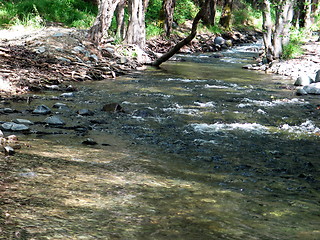 Image showing The river. Cyprus