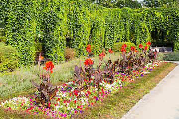 Image showing Classic garden