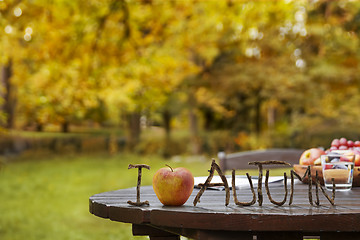 Image showing Autumn Garden Table