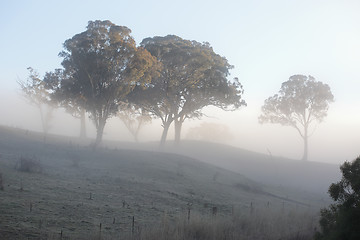 Image showing Frost and Fog