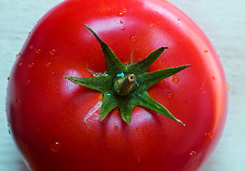 Image showing Tomato